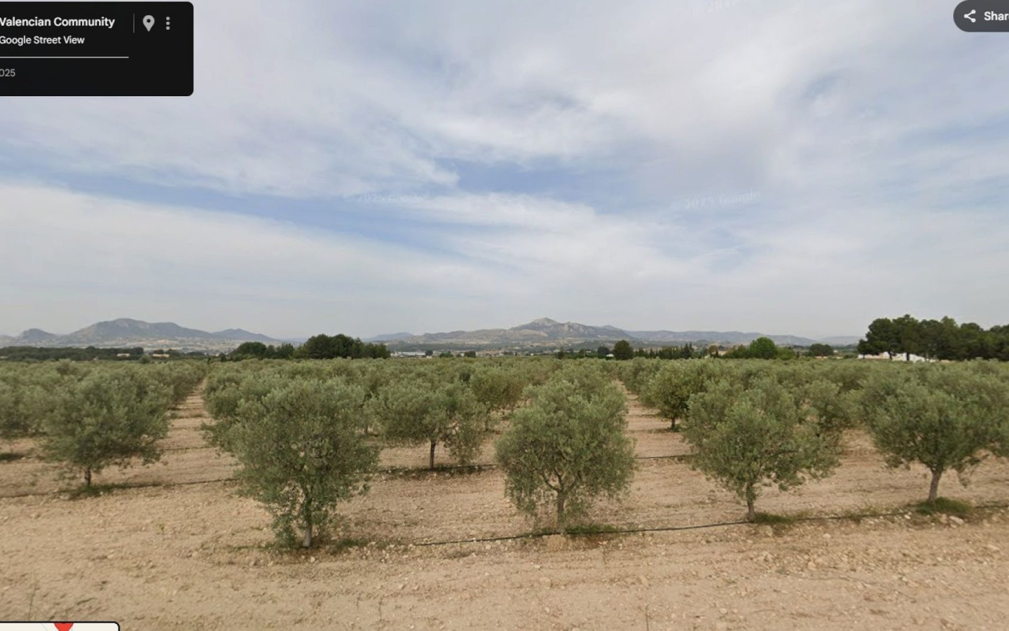 Land In Sax, Spain