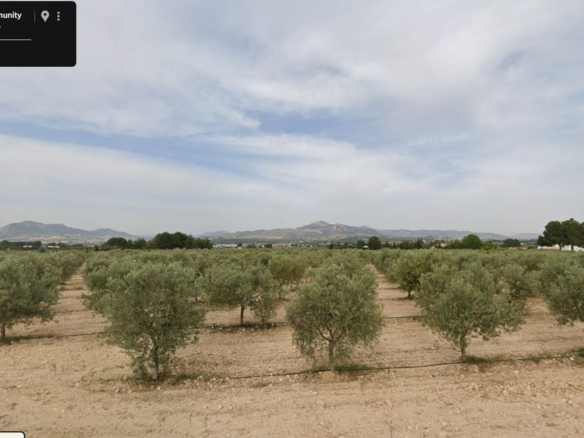 Land In Sax, Spain