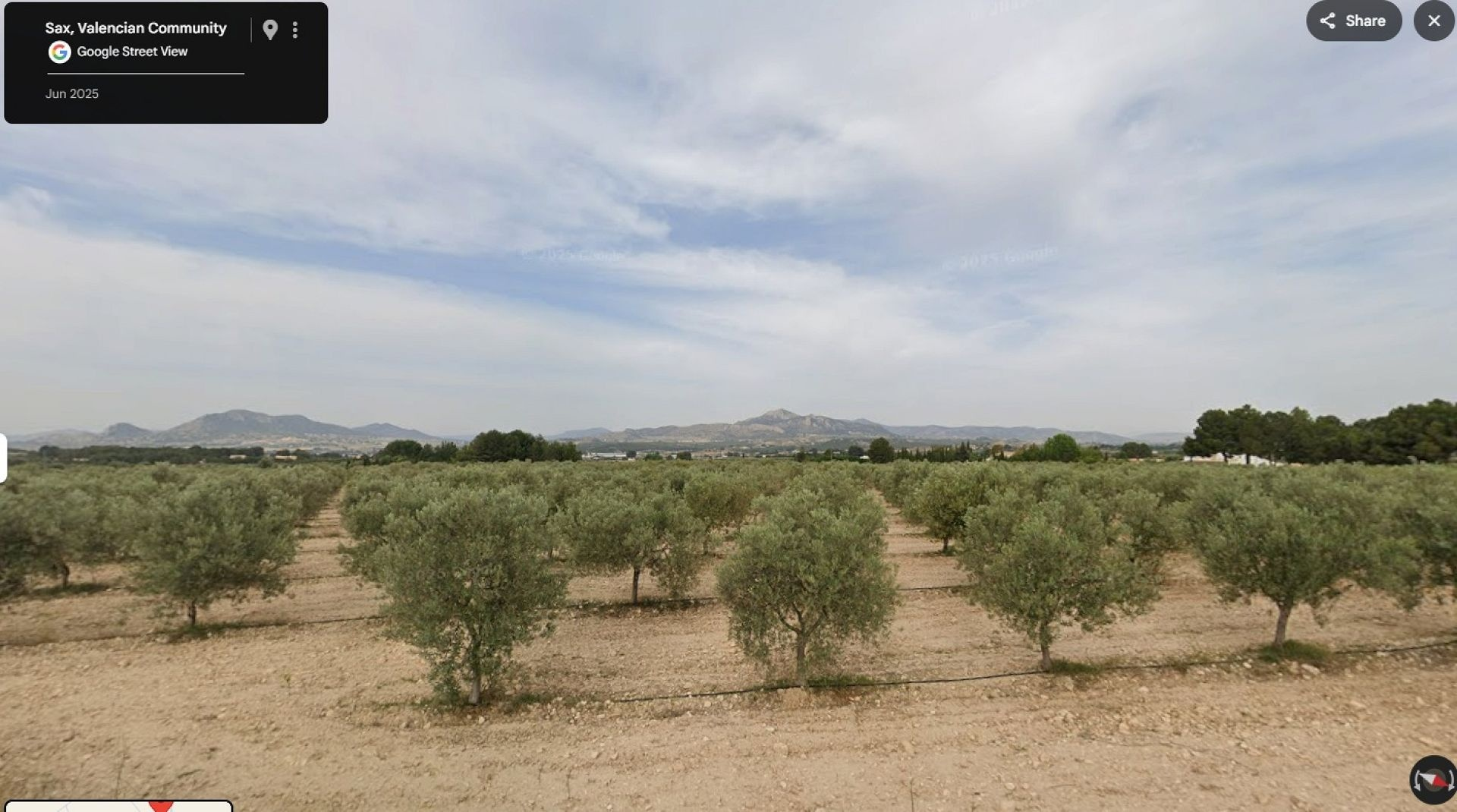 Land In Sax, Spain