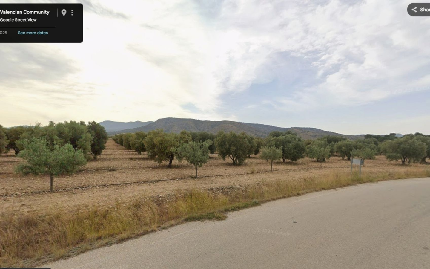 Land In Sax, Spain (52.543 M² Plot)