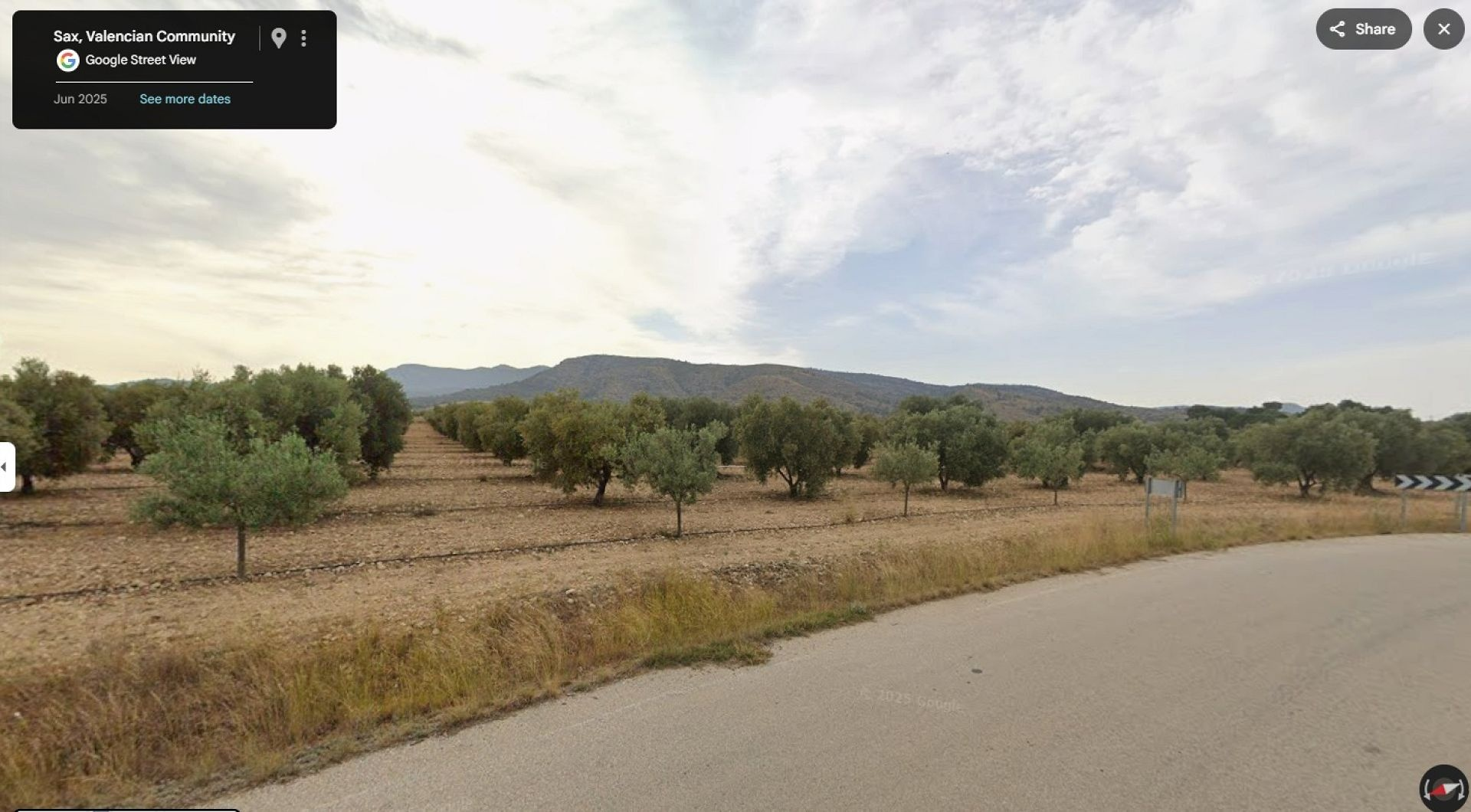 w_streetview-ea9799 Land In Sax, Spain (52.543 M² Plot)