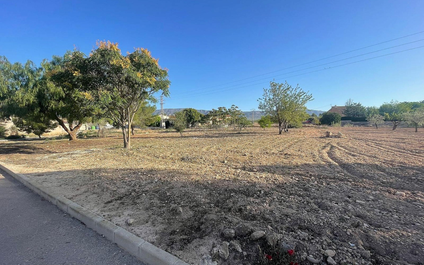 Land In Pinoso, Spain (1.160 M² Plot)
