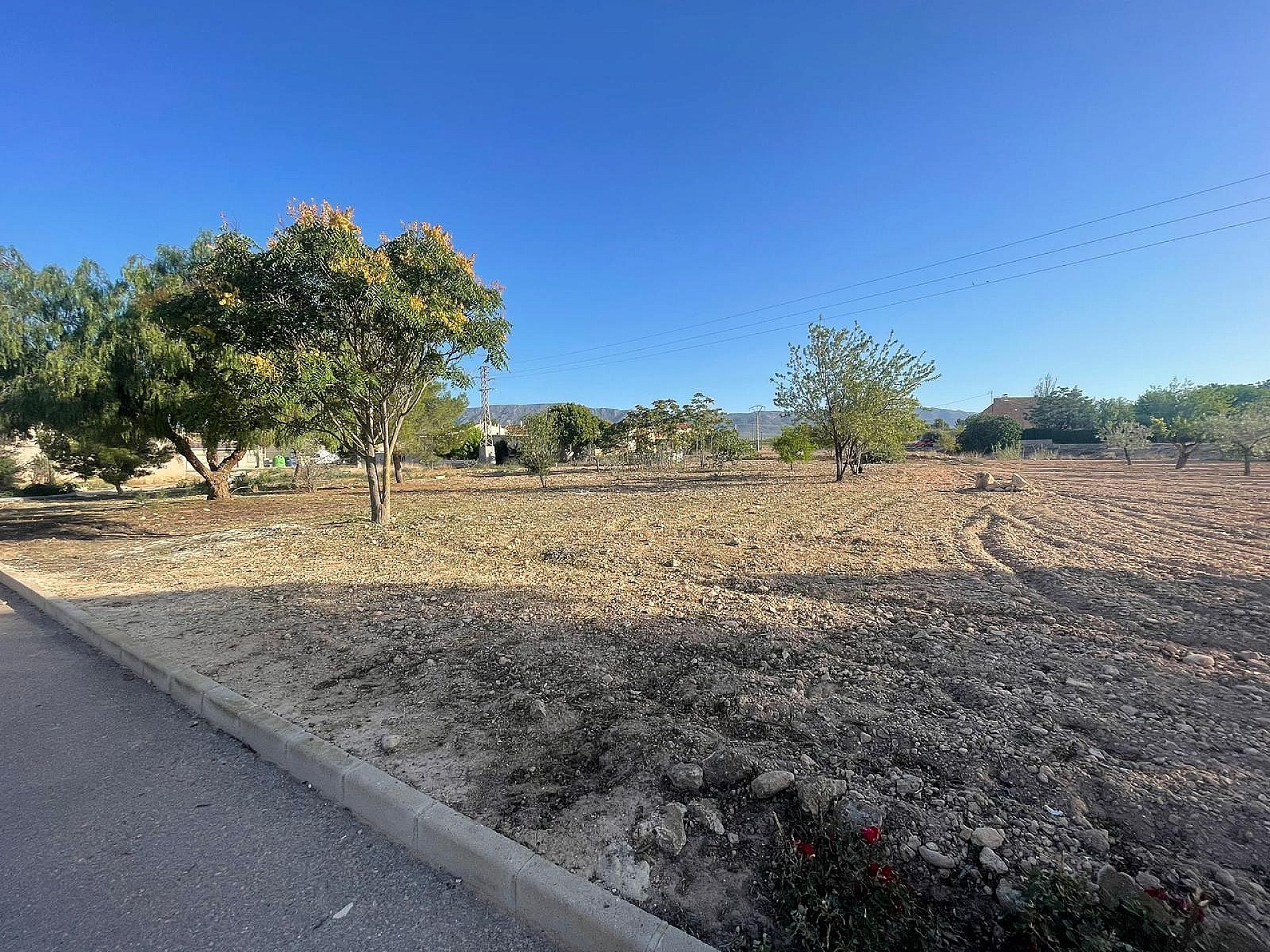 Land In Pinoso, Spain (1.160 M² Plot)