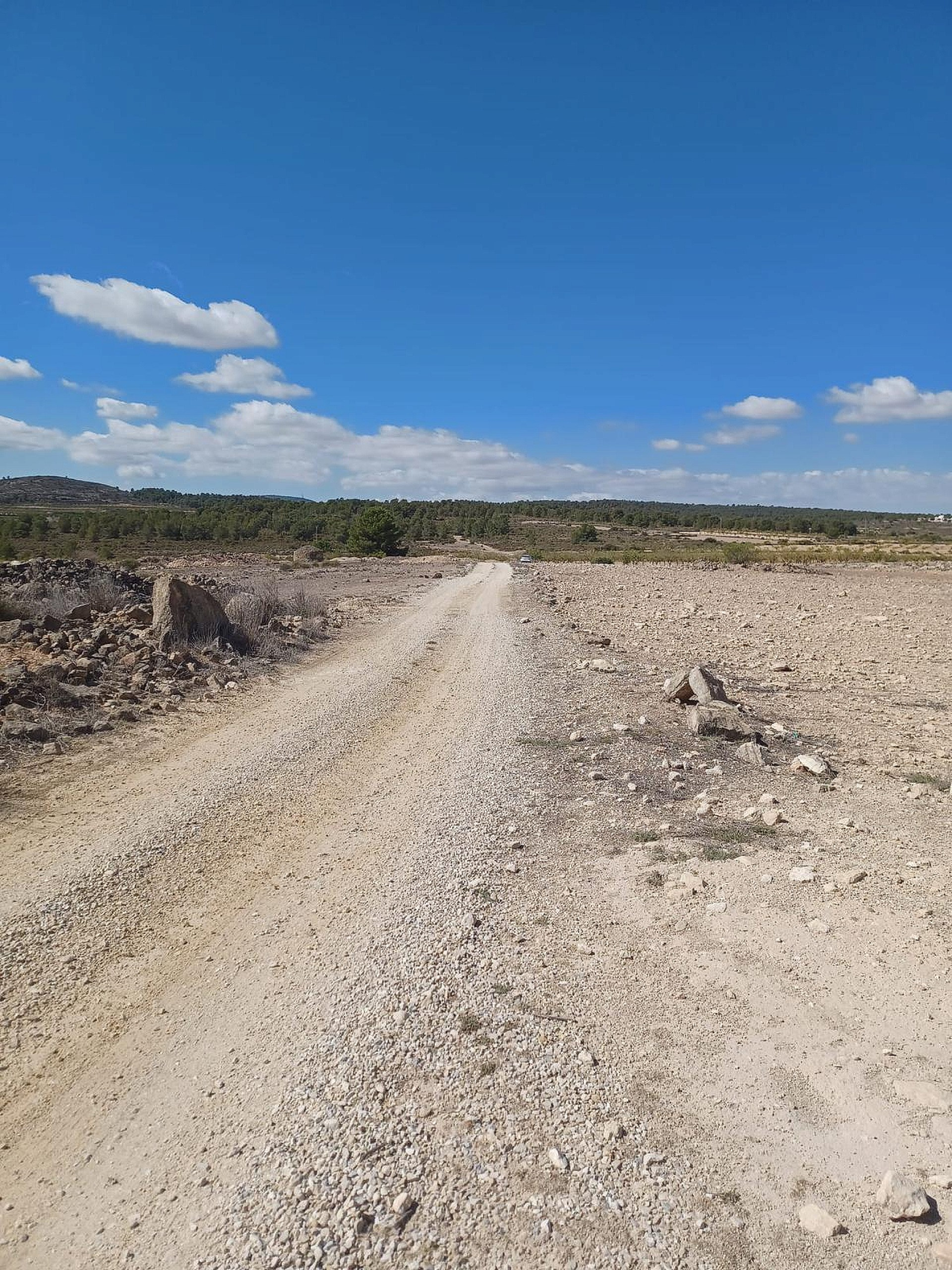 w_tcxh67n57x76c303uns3-079158 Land In Pinoso, Spain (13.836 M² Plot)