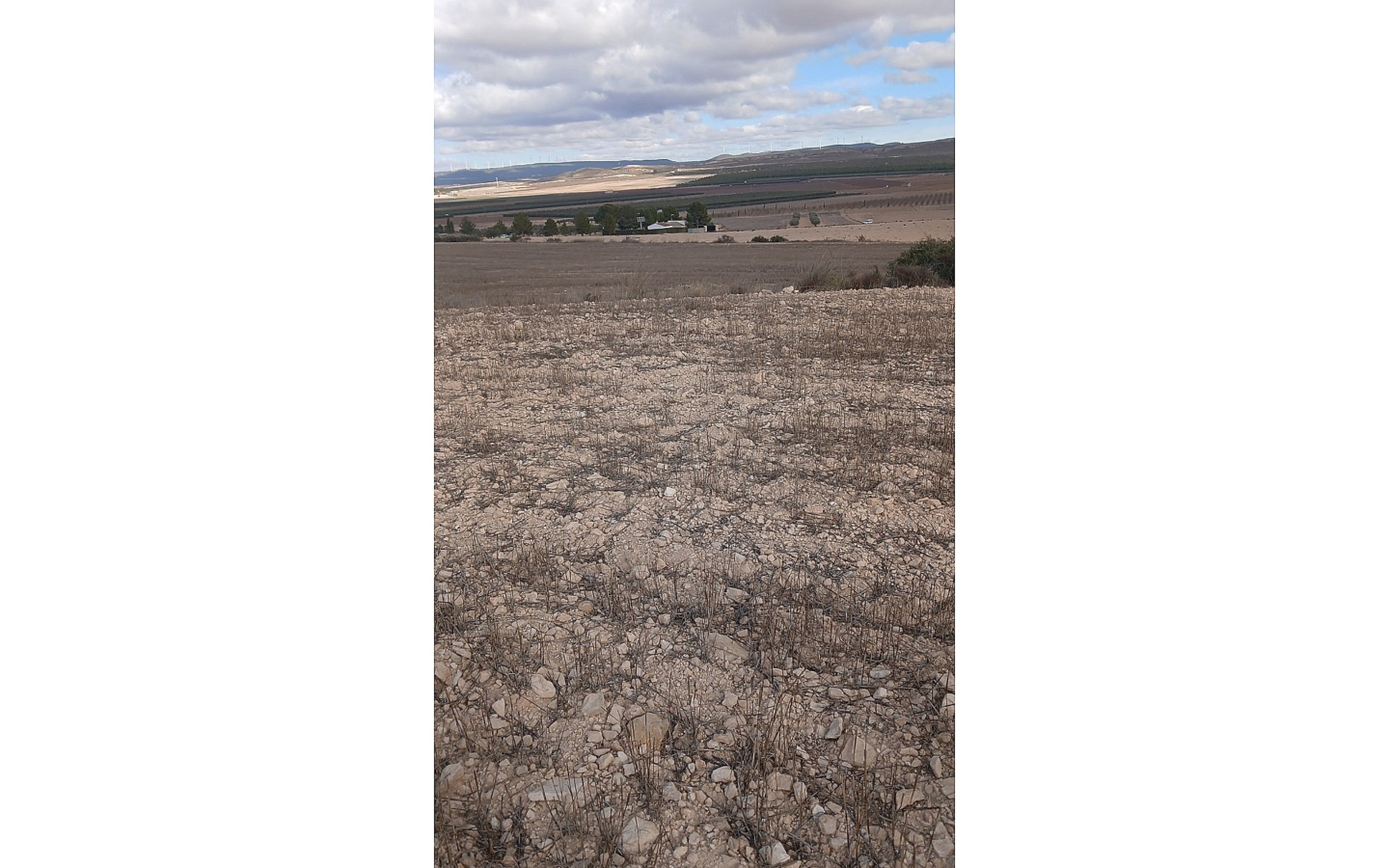 Land In Yecla, Spain (110.312 M² Plot)