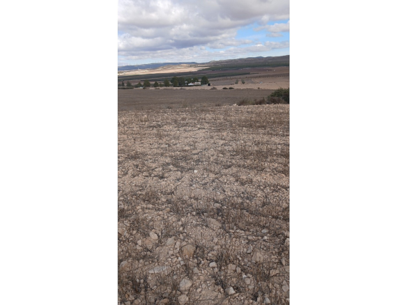 Land In Yecla, Spain (110.312 M² Plot)
