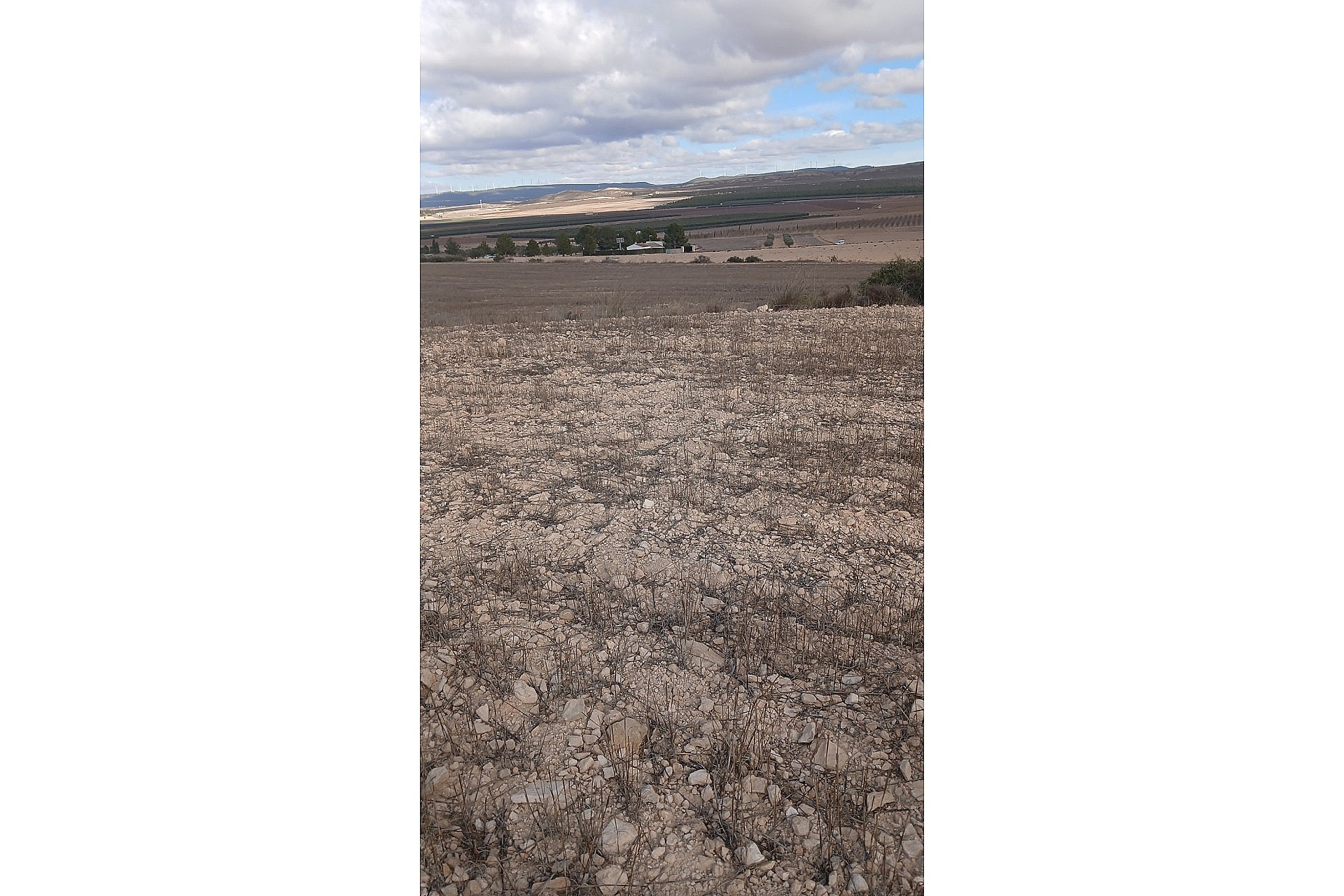 w_u70g0go5tdohyovmdcda-0f6186 Land In Yecla, Spain (110.312 M² Plot)
