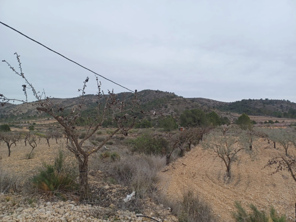 Land In La Romana, Spain (7.530 M² Plot)