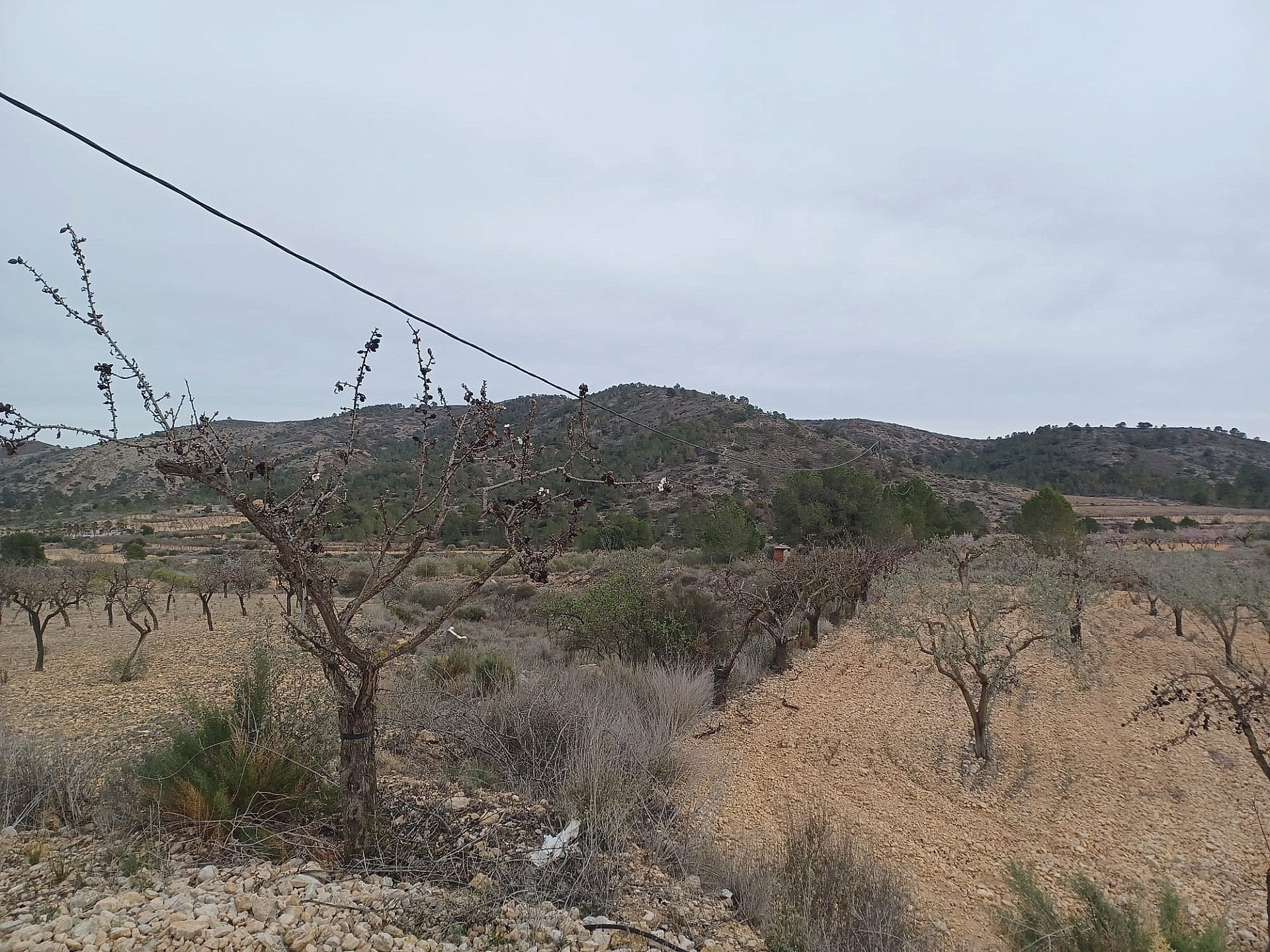 Land In La Romana, Spain (7.530 M² Plot)