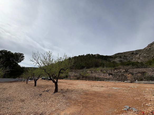 4-bedroom Detached Villa In La Romana, Spain (190 M²)