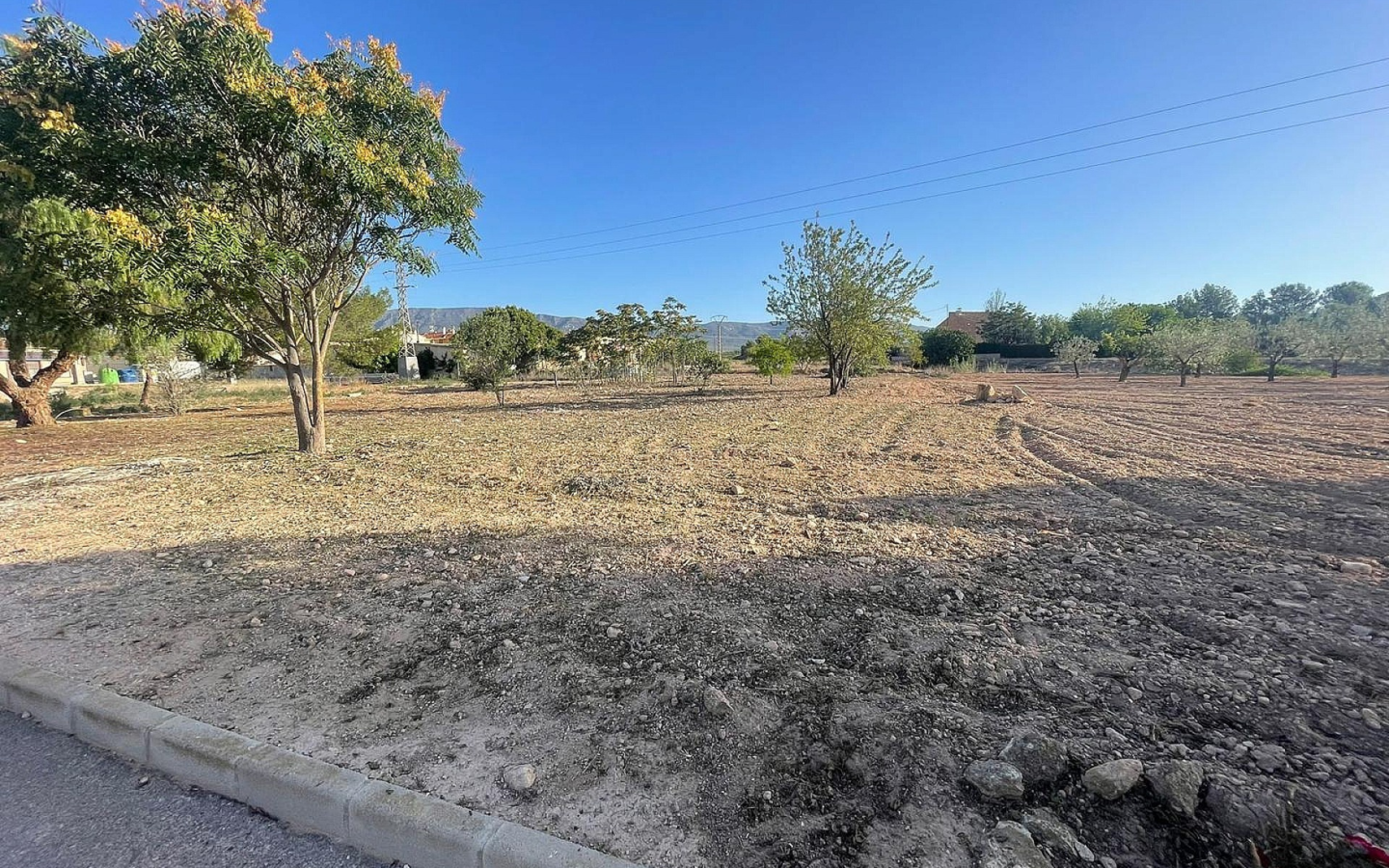 Land In Pinoso, Spain (1.160 M² Plot)