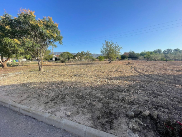 Land In Pinoso, Spain (1.160 M² Plot)