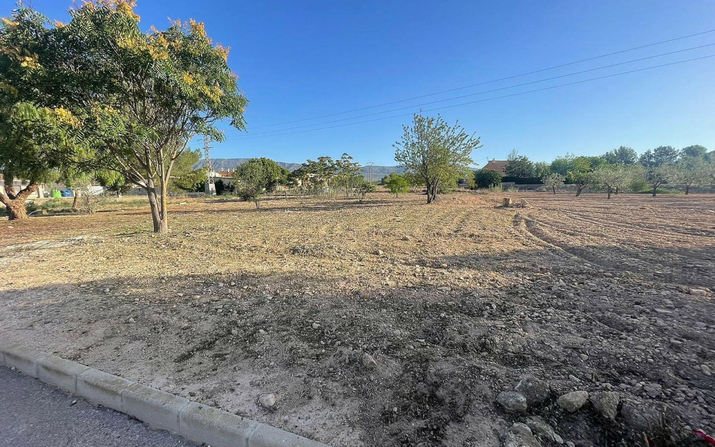 Land In Pinoso, Spain (1.160 M² Plot)