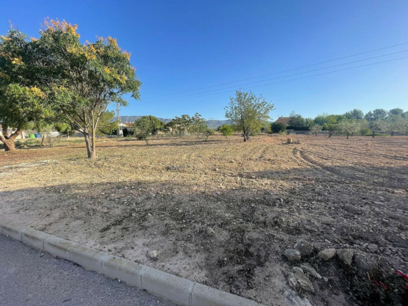 Land In Pinoso, Spain (1.160 M² Plot)