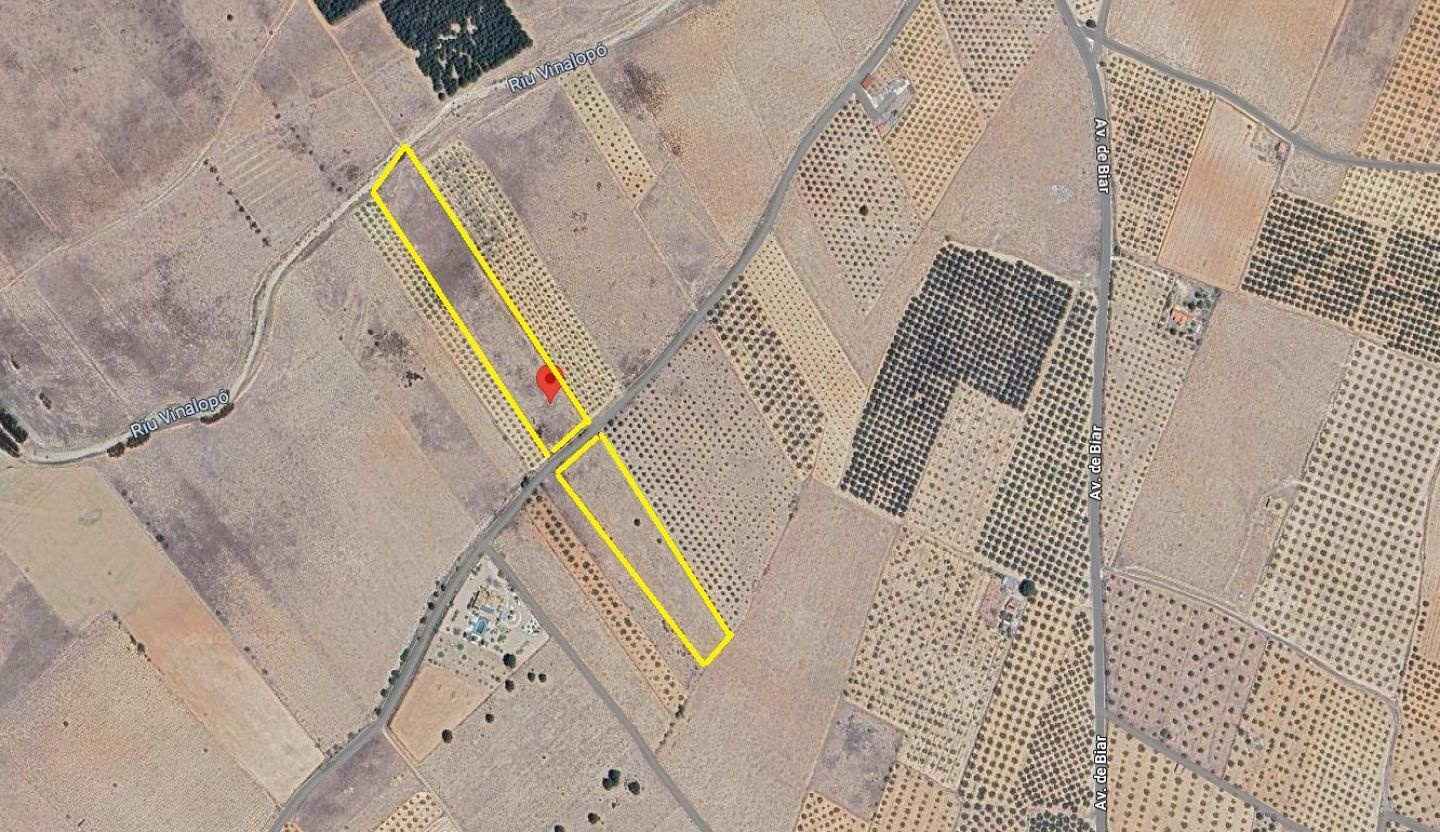 Land In Biar, Spain (20.257 M² Plot)