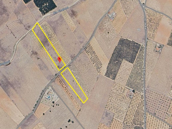 Land In Biar, Spain (20.257 M² Plot)