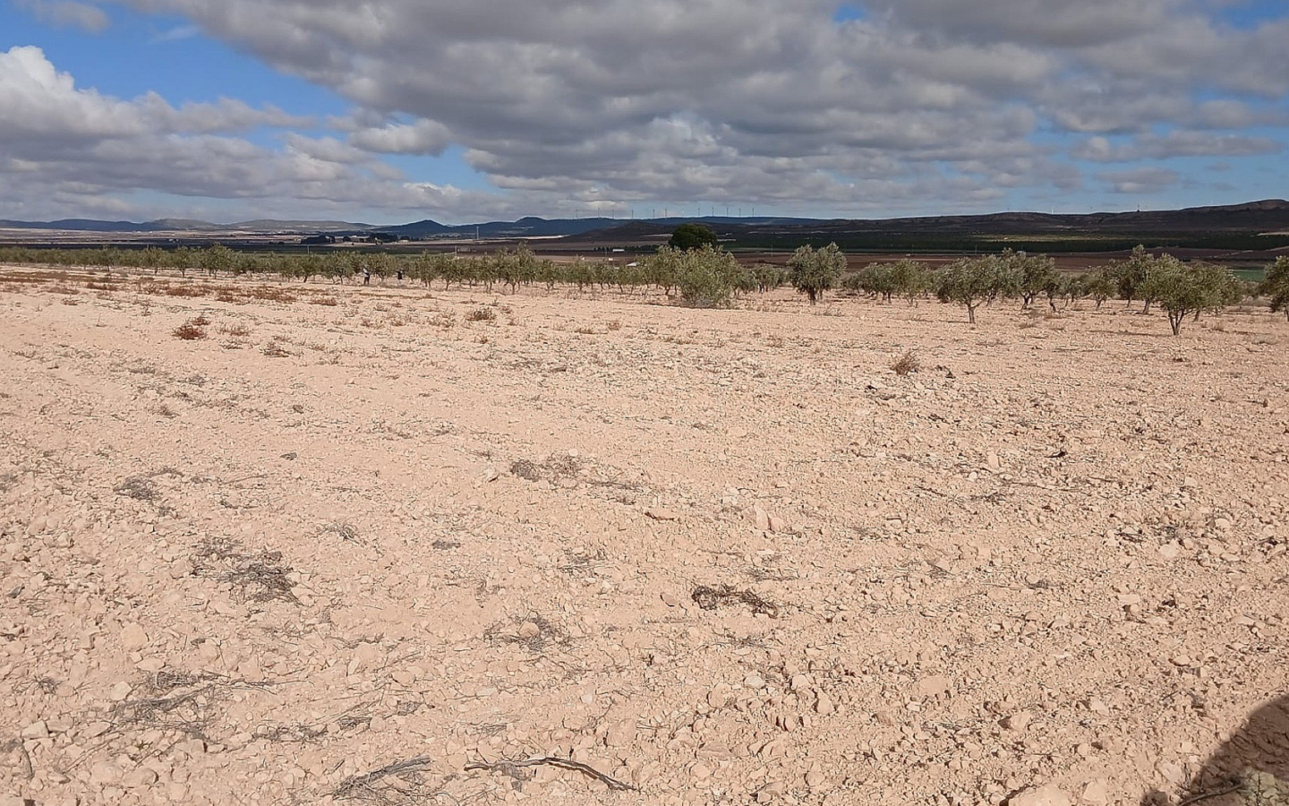 Land In Yecla, Spain (110.312 M² Plot)