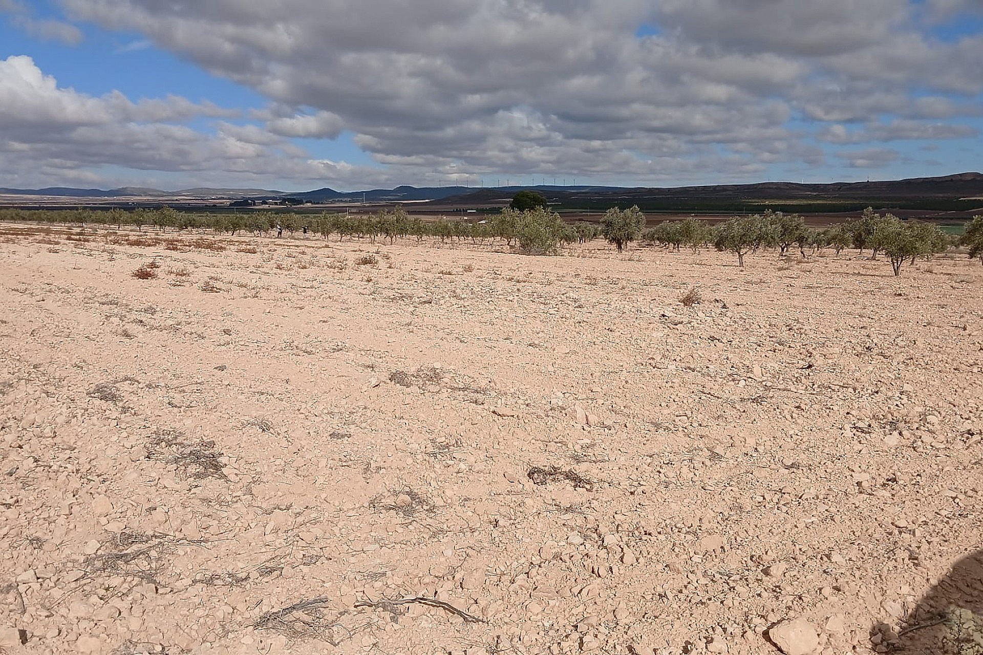 w_uoht45a8nyoj60wwraxf-8908e7 Land In Yecla, Spain (110.312 M² Plot)