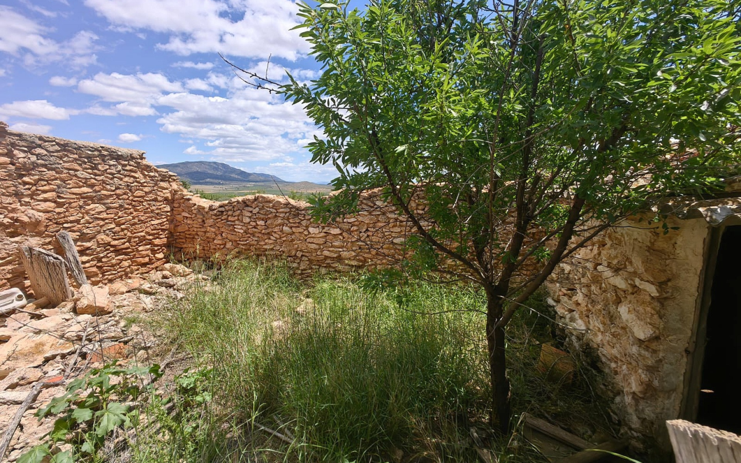 Land In Pinoso, Spain (10.000 M² Plot)