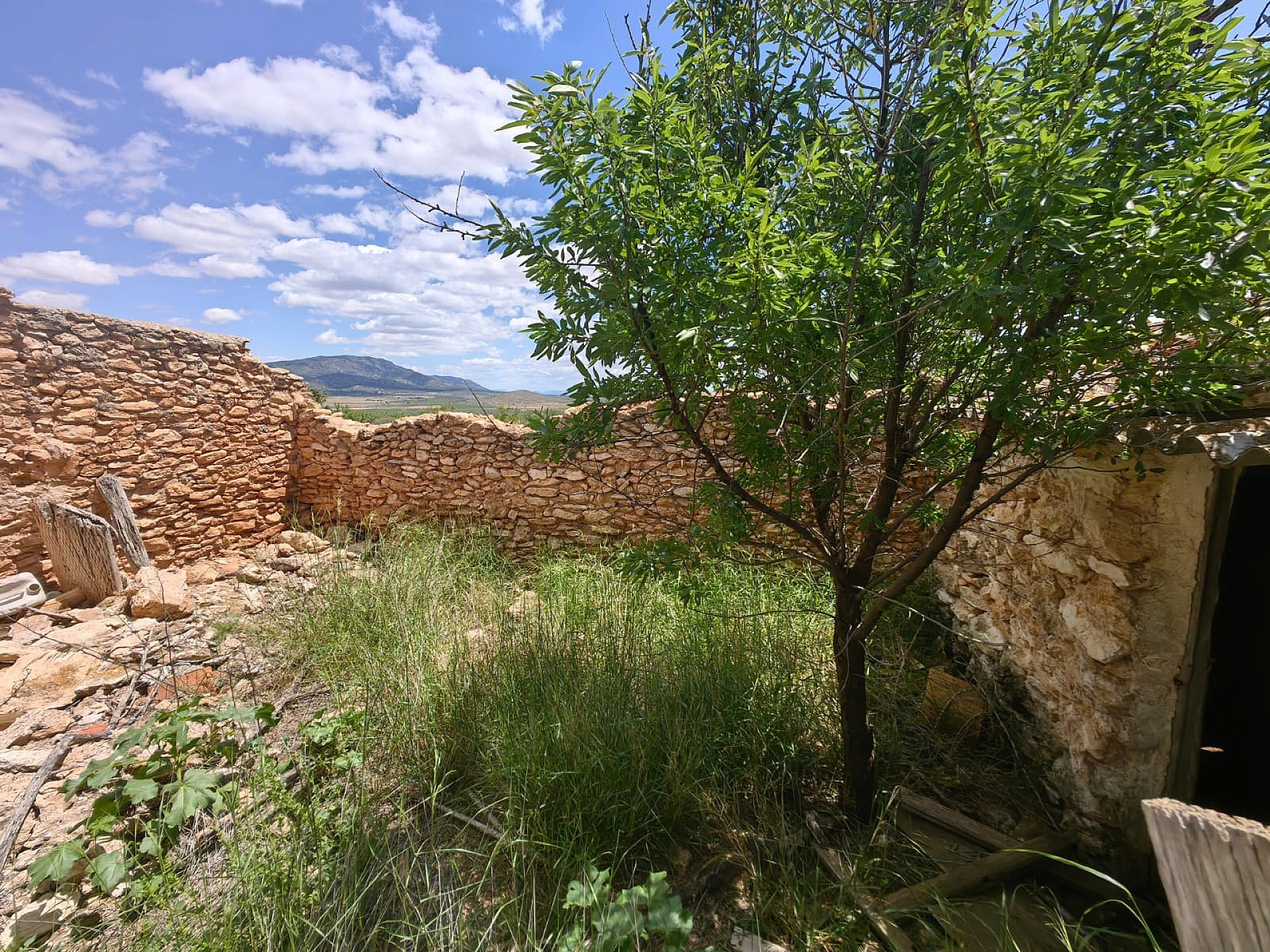 Land In Pinoso, Spain (10.000 M² Plot)
