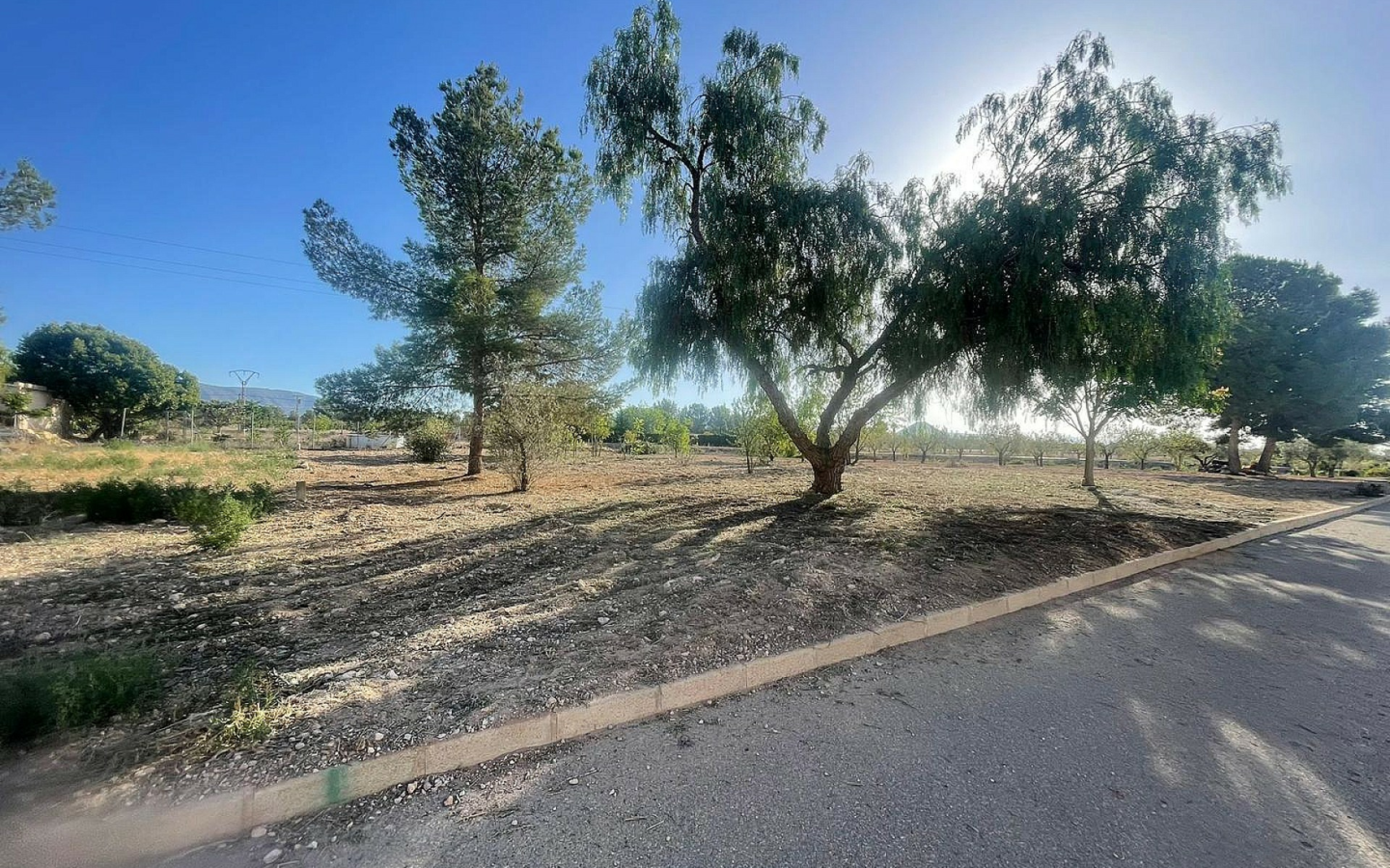 Land In Pinoso, Spain (1.160 M² Plot)
