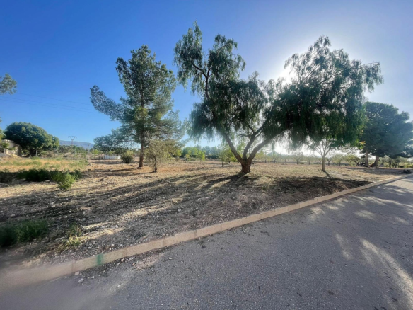Land In Pinoso, Spain (1.160 M² Plot)