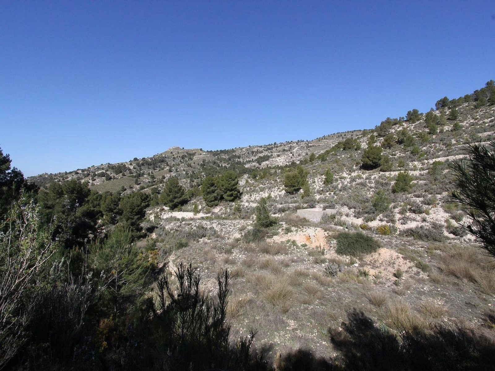 3-bedroom Detached Villa In Petrer, Spain (120 M²)