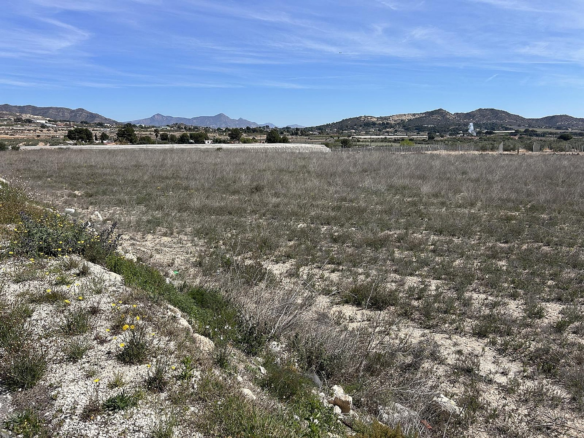 Land In Hondón De Las Nieves, Spain (15.279 M² Plot)