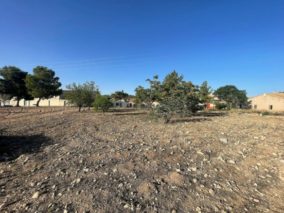 Land In Pinoso, Spain (1.160 M² Plot)