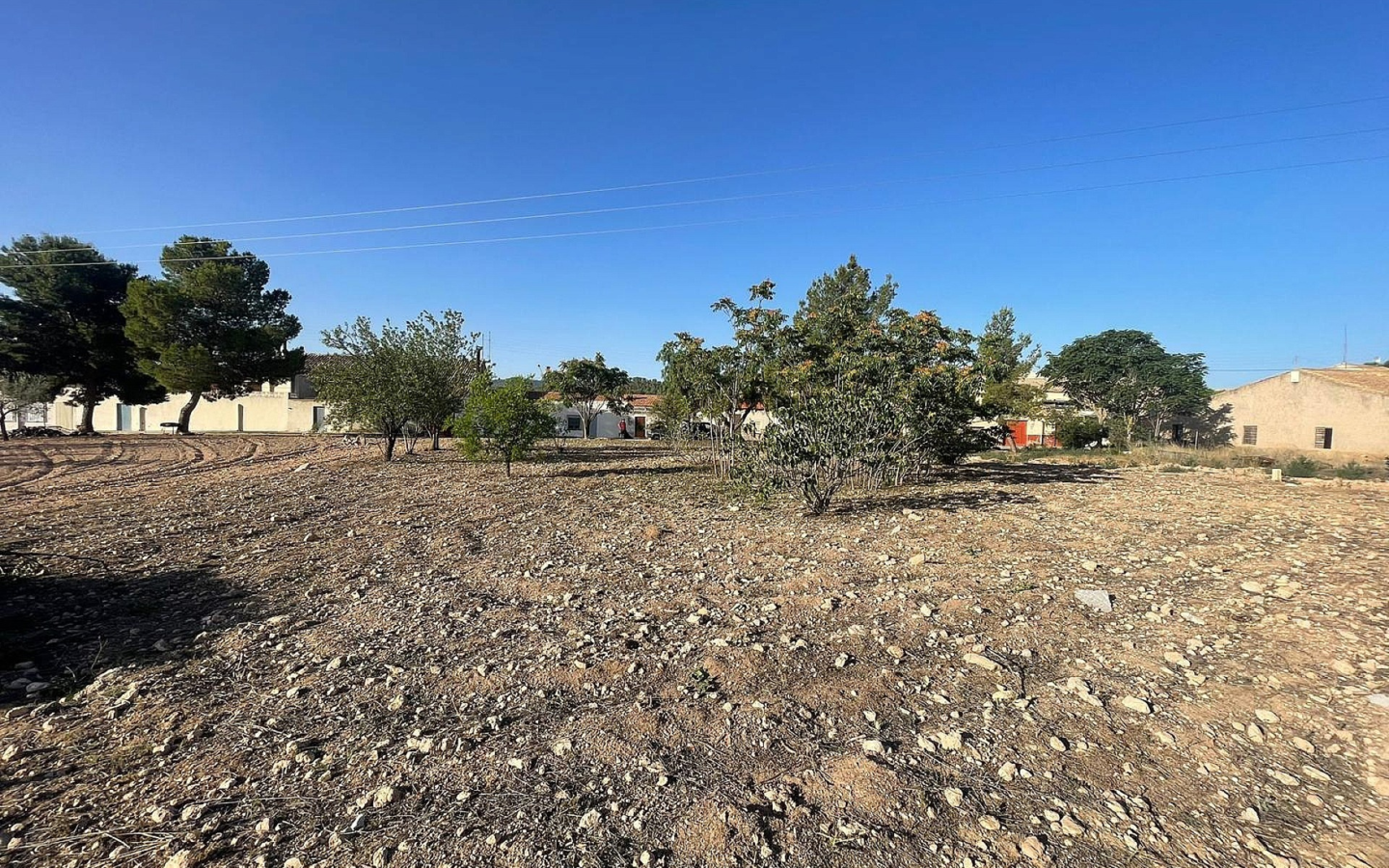 Land In Pinoso, Spain (1.160 M² Plot)