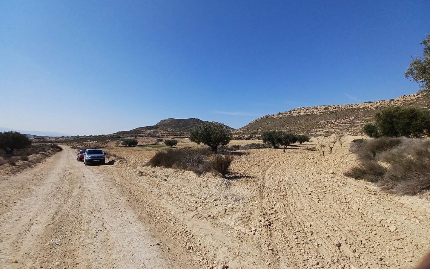 Land In Pinoso, Spain (27.000 M² Plot)