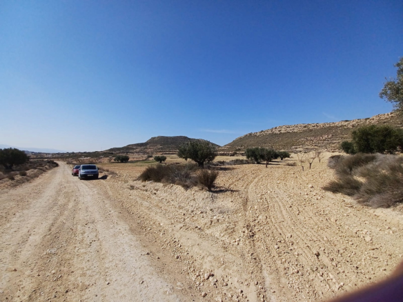 Land In Pinoso, Spain (27.000 M² Plot)