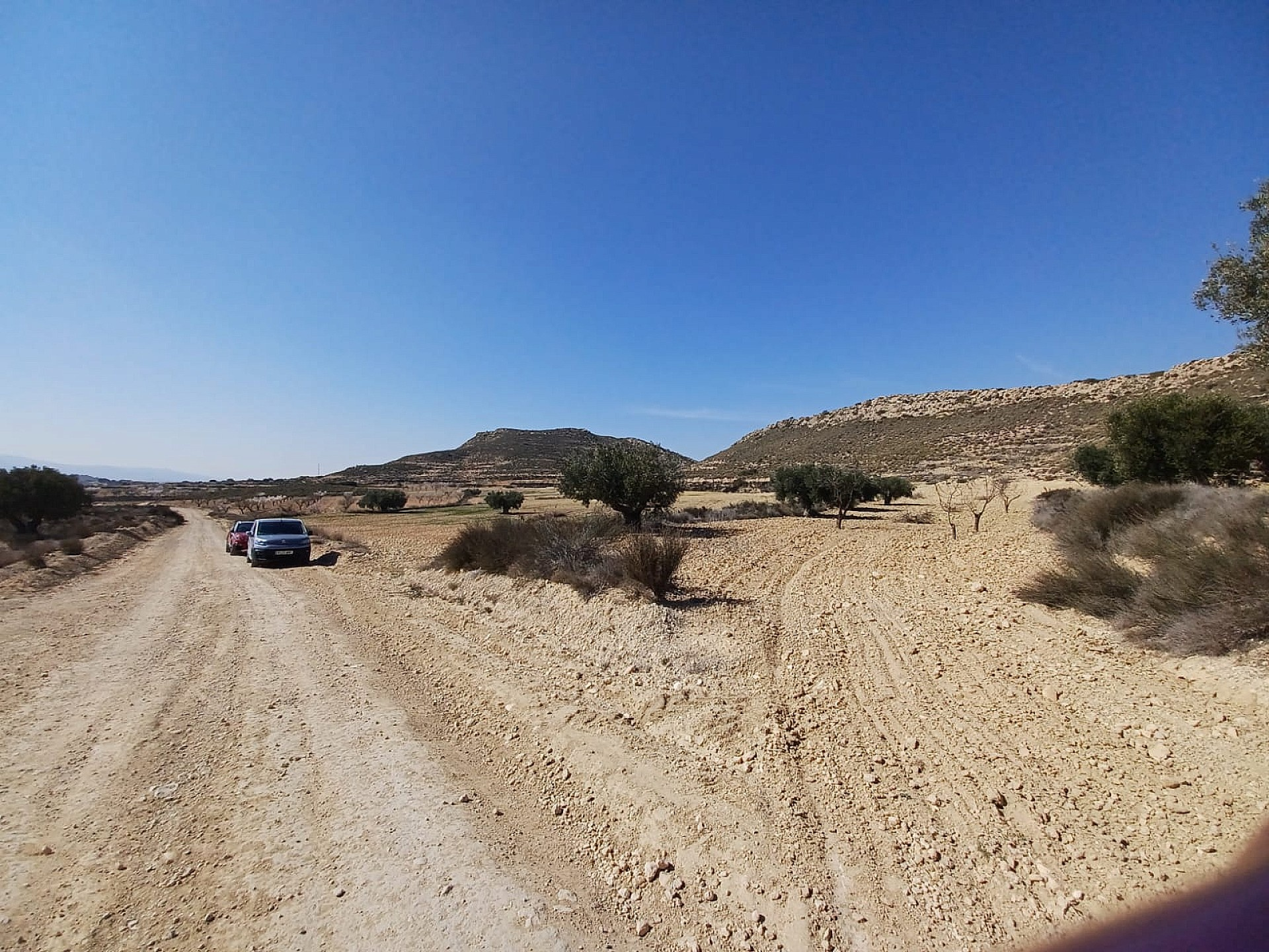 Land In Pinoso, Spain (27.000 M² Plot)