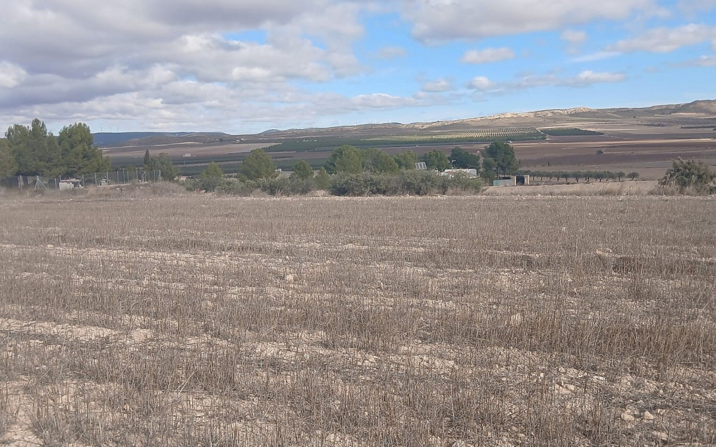 Land In Yecla, Spain (110.312 M² Plot)