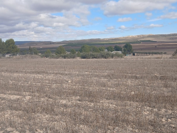 Land In Yecla, Spain (110.312 M² Plot)