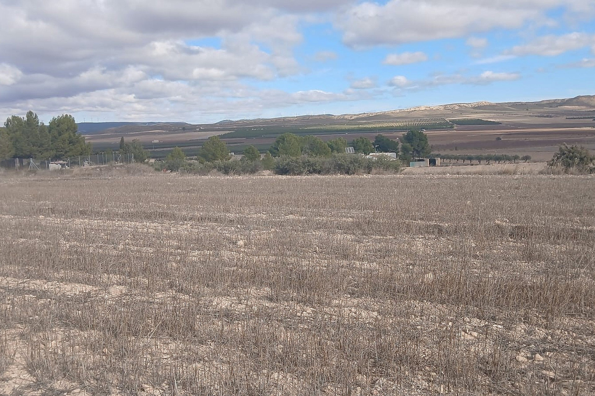 w_vx8rspe85r42o5kfqjos-b92a2d Land In Yecla, Spain (110.312 M² Plot)