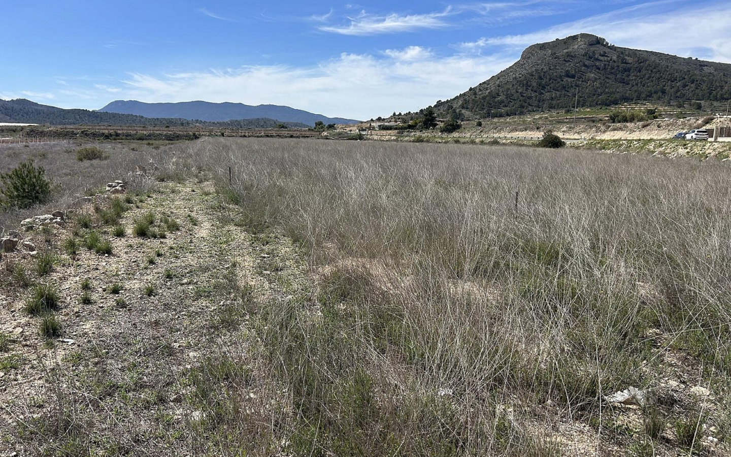 Land In Hondón De Las Nieves, Spain (15.279 M² Plot)