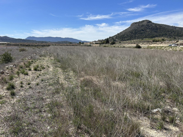Land In Hondón De Las Nieves, Spain (15.279 M² Plot)
