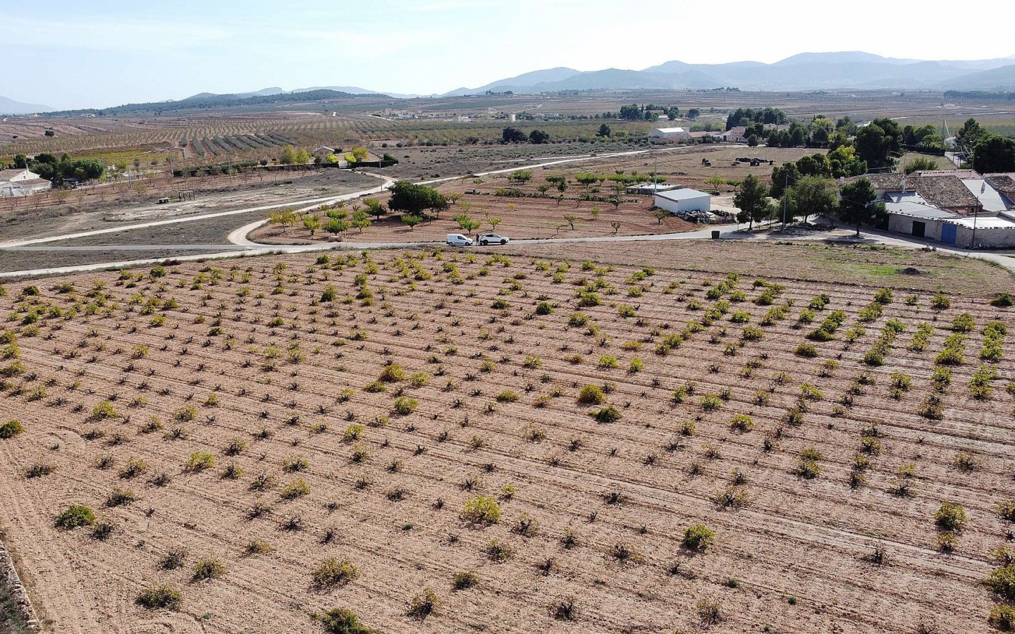 Land In Pinoso, Spain (10.000 M² Plot)