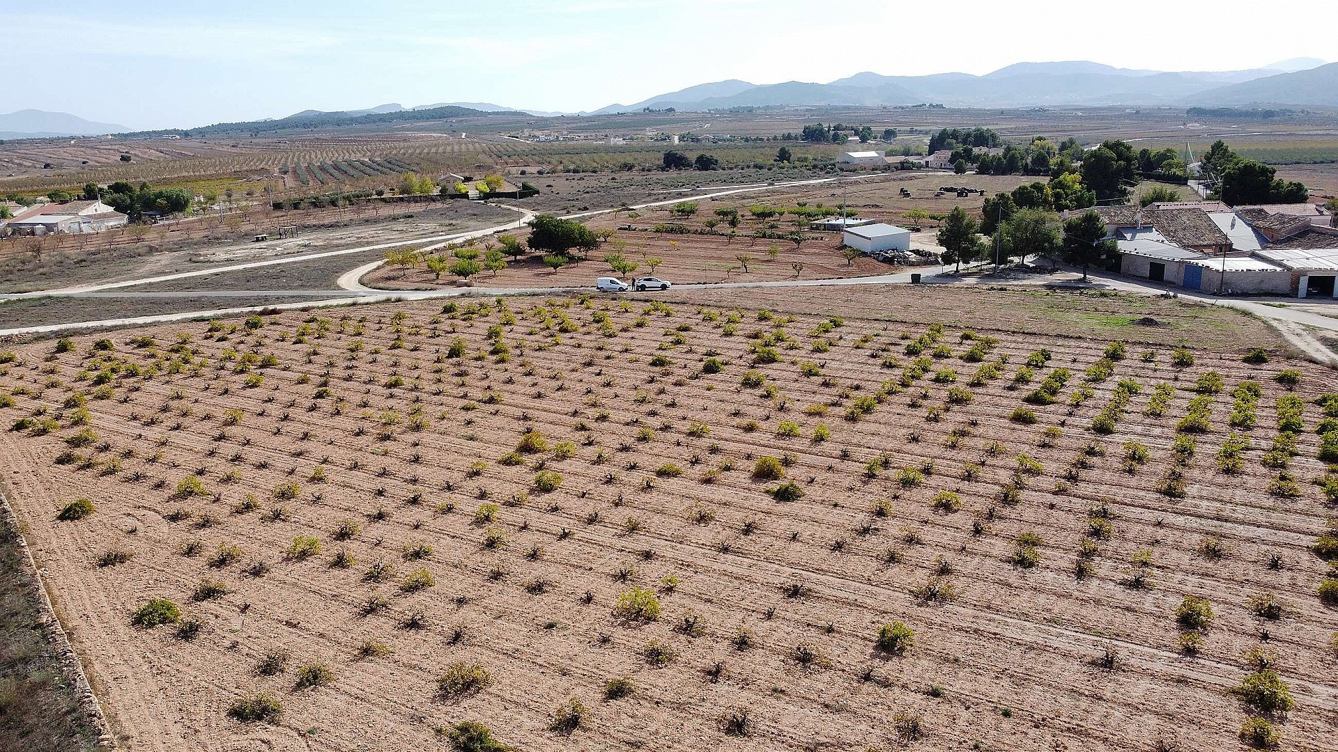 w_w4nxd3k2psxm6tj4604p-e8fc07 Land In Pinoso, Spain (10.000 M² Plot)