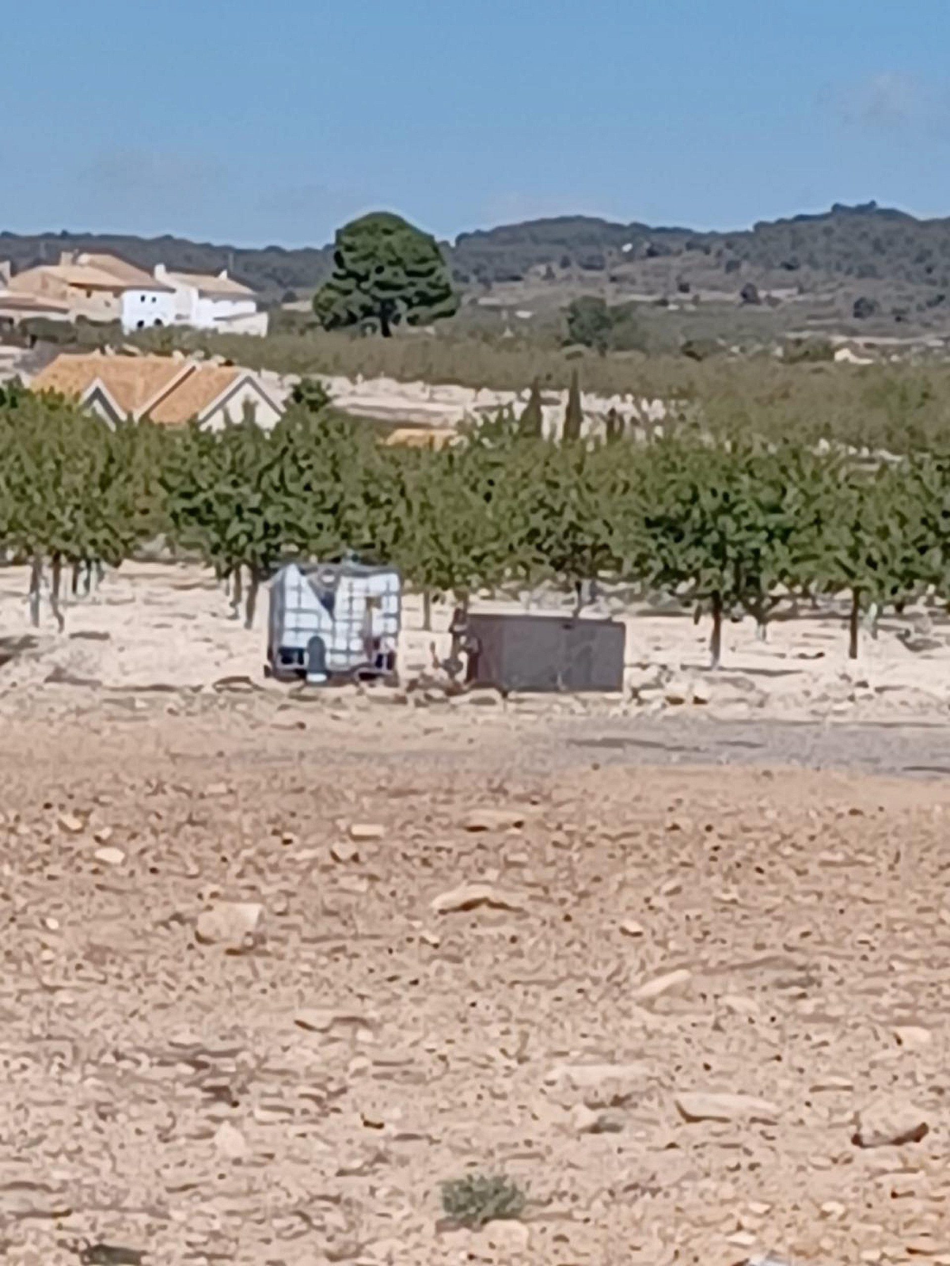 w_w8ctszdp7voy05en4hzm-deb710 Land In Pinoso, Spain (13.836 M² Plot)