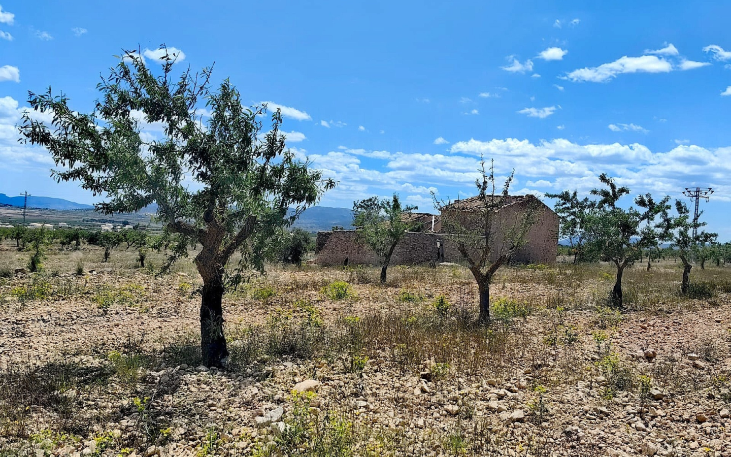 Land In Pinoso, Spain (10.000 M² Plot)