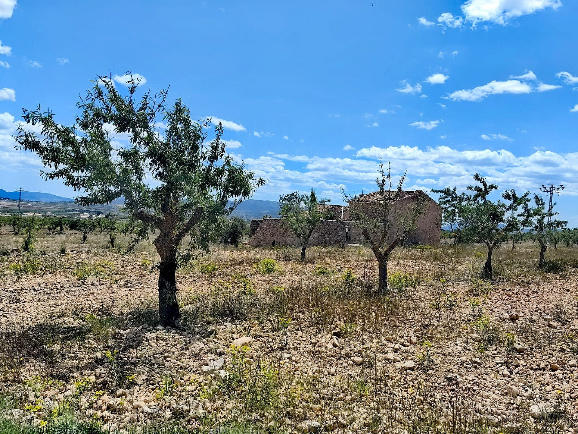 Land In Pinoso, Spain (10.000 M² Plot)
