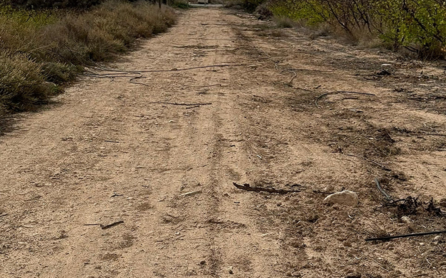 Land In Monovar, Spain (25.000 M² Plot)