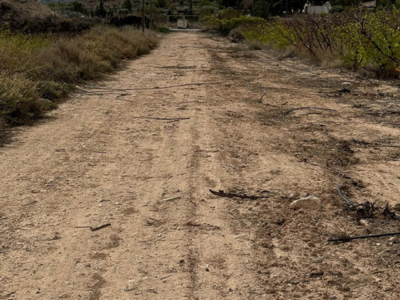 Land In Monovar, Spain (25.000 M² Plot)