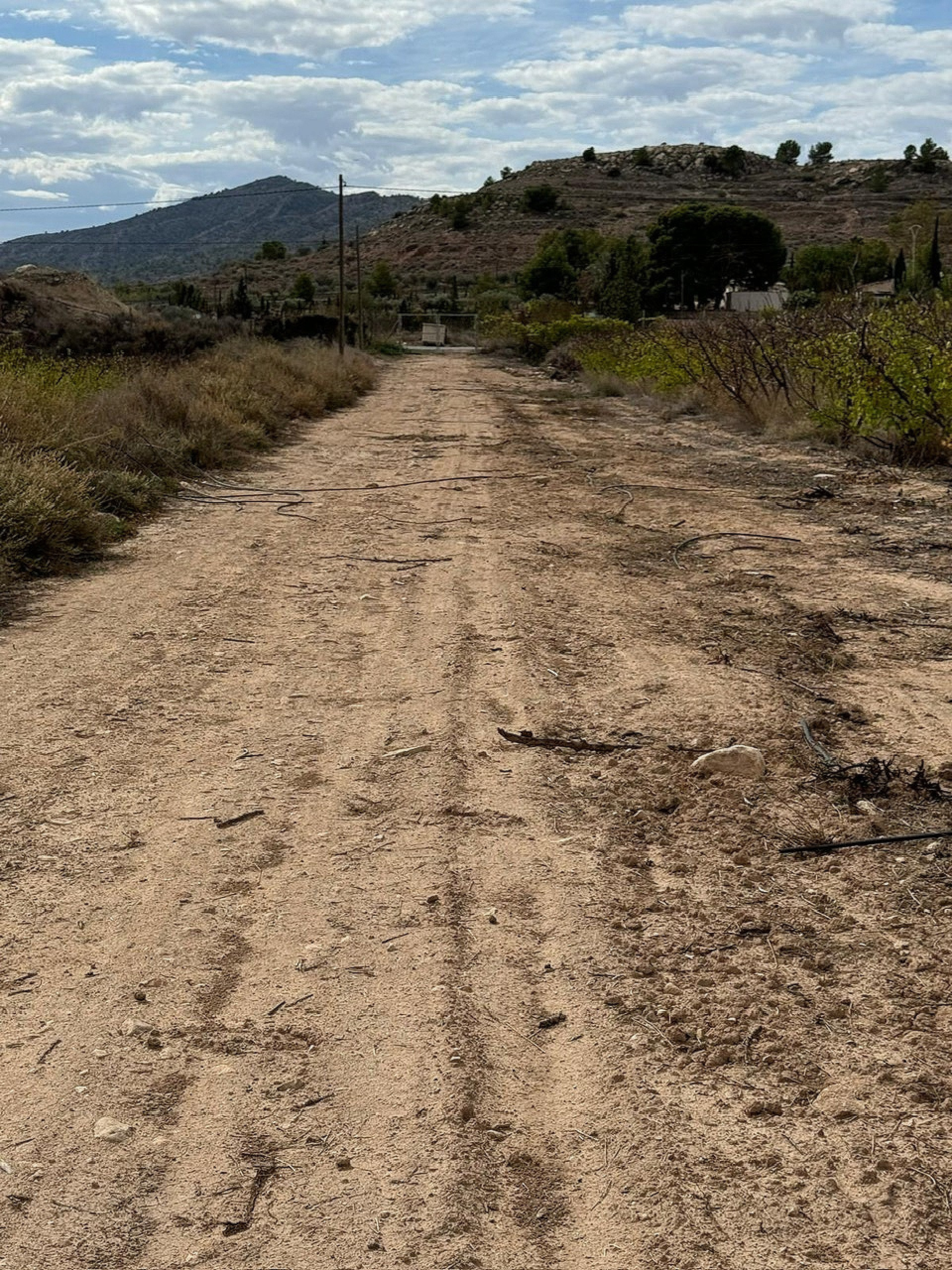 w_wh3nccsc55rdxjf78px8-81288f Land In Monovar, Spain (25.000 M² Plot)