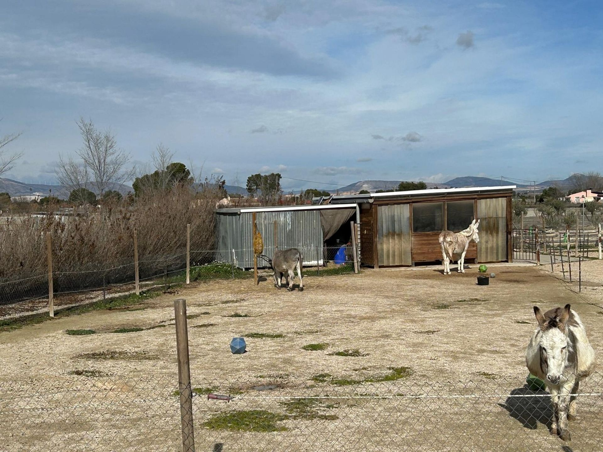 w_whatsapp-image-2026-01-21-at-13.04.02-57a7a2 5-bedroom Detached Villa In Villena, Spain (219 M²)