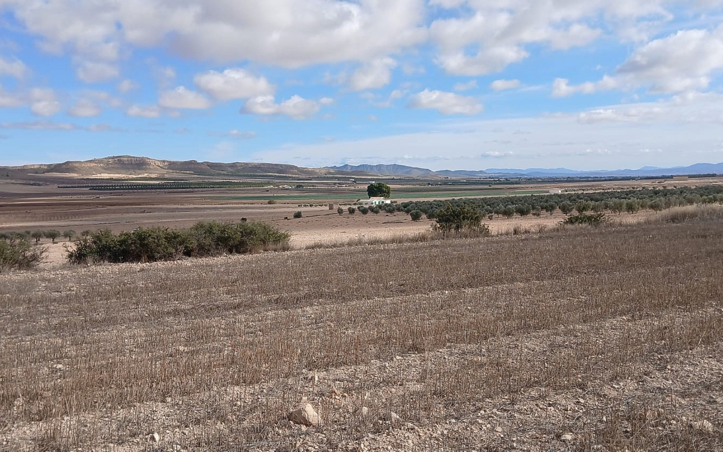 Land In Yecla, Spain (110.312 M² Plot)