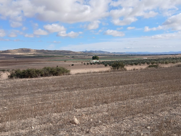 Land In Yecla, Spain (110.312 M² Plot)