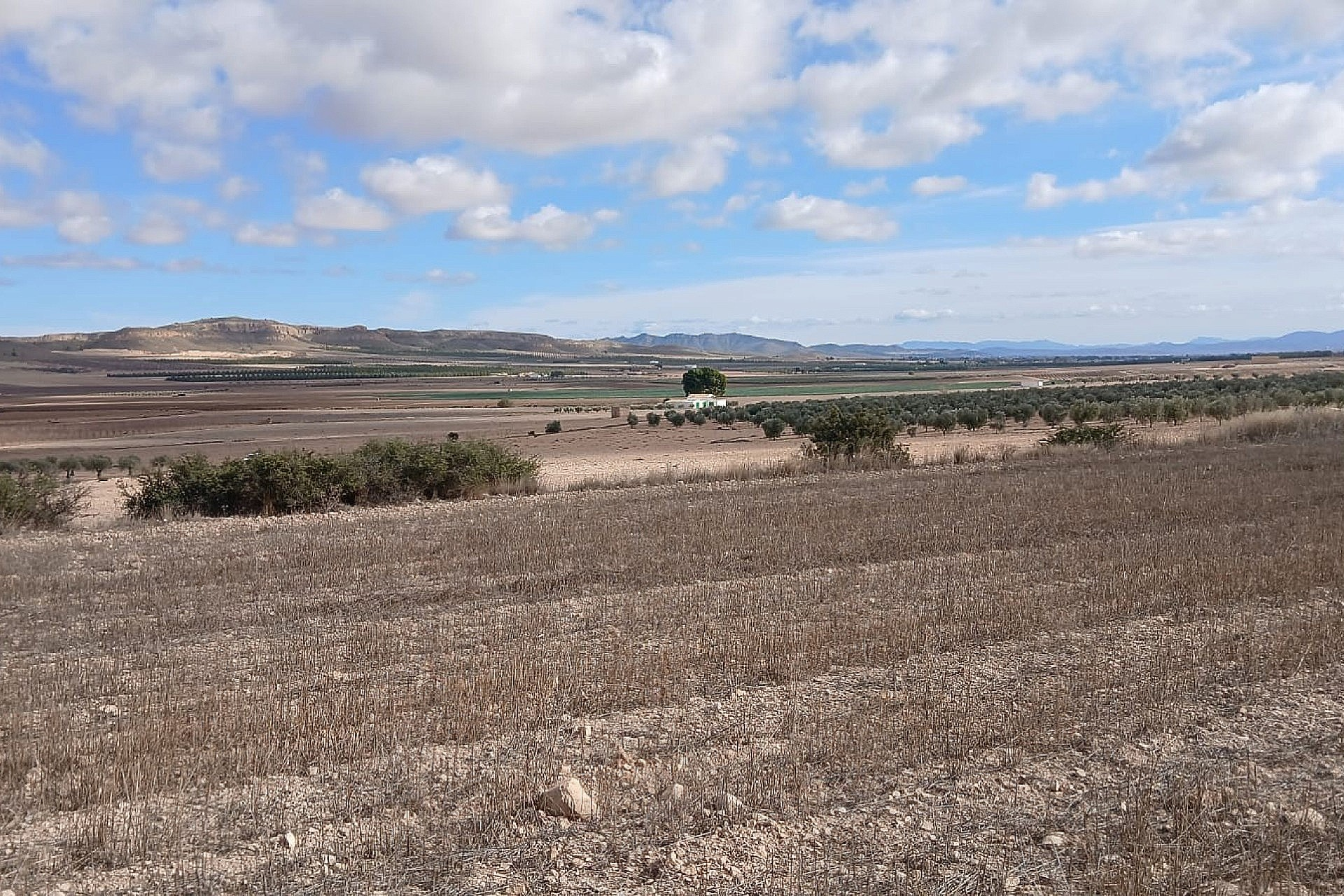 w_wq68qnino3syvpkxcw0o-4fe746 Land In Yecla, Spain (110.312 M² Plot)